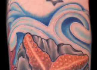 Значение татуировки морская звезда Морская звезда тату значение