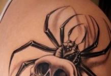 Pomen tatujev: NLP-ji, nezemljani