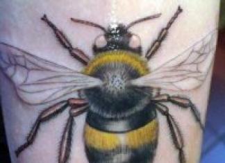 Bee tattoo – pomen in modeli za dekleta in moške